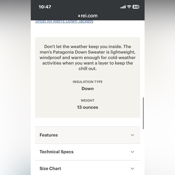 Patagonia | Down Sweater in True Navy - Picture 10 of 17
